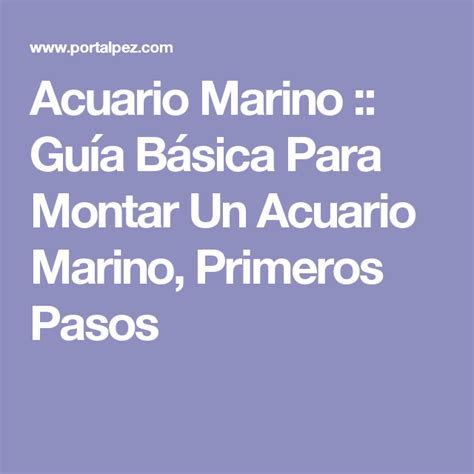 Acuario Marino Guía Básica Para Montar Un Acuario Marino Primeros Pasos Acuario Marinos