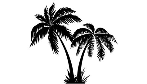 Coconut Tree Silhouette Png File Png All Png All