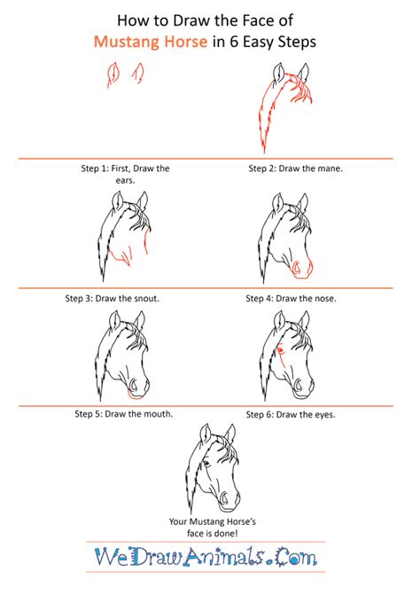 All the best mustang horse line drawing 40+ collected on this page. How to Draw a Mustang Horse Face