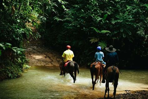 Horseback Riding To Nauyaca Waterfalls Manuel Antonio Kimkim