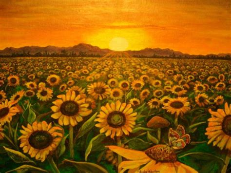 Sunflower Field Sunset Beautiful Wallpaper Hd Flowers