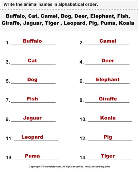 There are special rules for keeping animals in a zoo. Animals Names List Worksheet - Turtle Diary