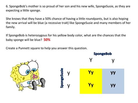 Spongebob squarepants recently met spongesusie roundpants at a dance. Genetics with SpongeBob - Learning how to use Punnett Squares - Middle School Science Blog