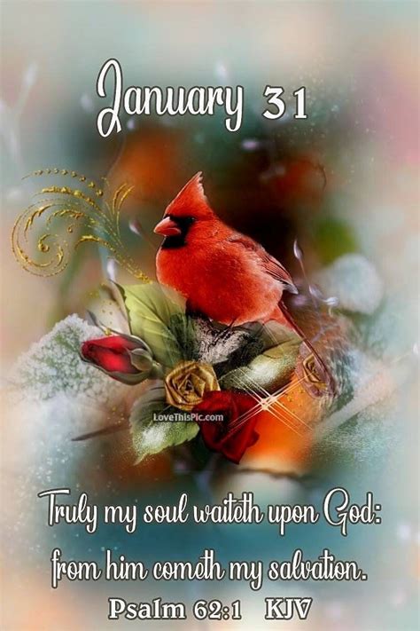 January 31 Days Bird Good Morning January Daily Bible Verse December
