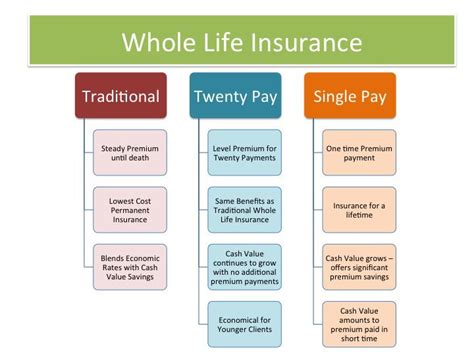 What Is Life Insurance Explained Financial Report