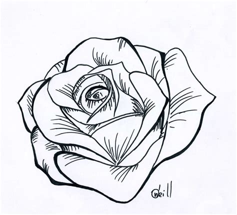 Black And White Rose Drawing
