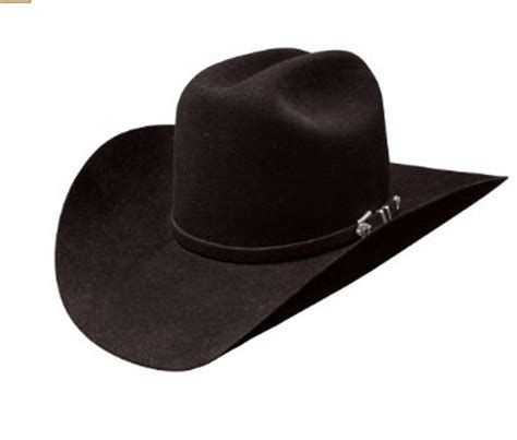 Stetson Apache 4x Black Bison Felt Western Cowboy Hat Jacksons Western