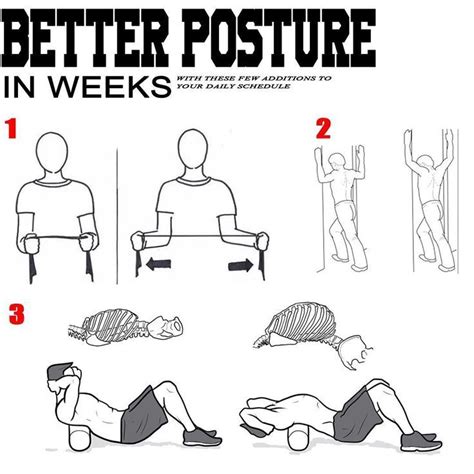Accelerate Strength Gains By Improving Your Postures Back Exercises