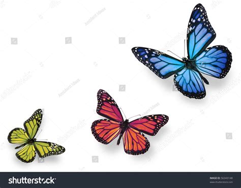 Green Pink Blue Butterflies Isolated On Stock Photo