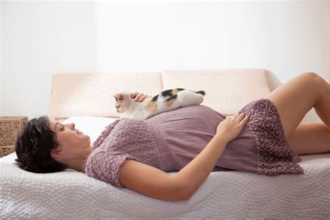 If Youre Pregnant And You Own A Cat Learn About What You Can Do To