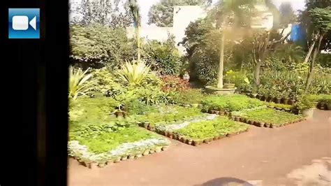 High quality tropical flowers, trees and shrubs for wholesale nurseries, landscapers, and garden centers. Pattoki Plant Nursery - YouTube