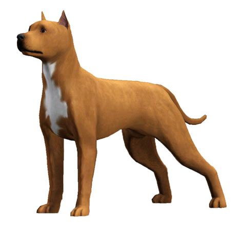 American Pit Bull Terrier Sims United Kennel Club