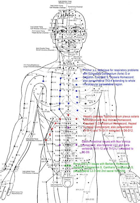 Acupuncture Chart Bliss Squared Massage