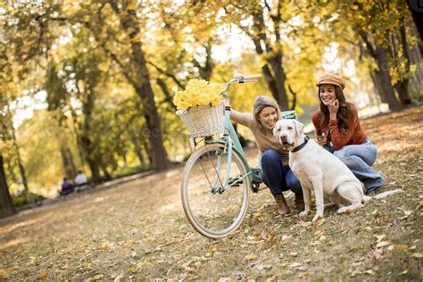 Two Female Friends Walking In The Autumn Park With Dog And Bicycle