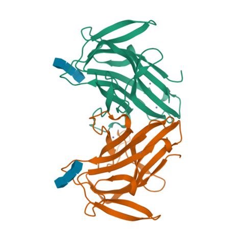 Rcsb Pdb Ad Tobacco Lectin Nictaba In Complex With