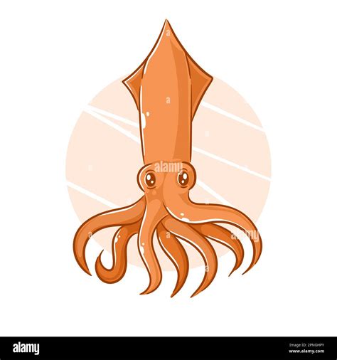Hand Drawn Squid Cartoon Clipart Stock Vector Image And Art Alamy