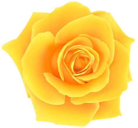 Yellow Rose Clipart Clipground