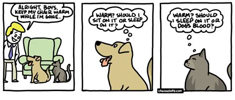 Cat And Dog Comic Funny Pictures And Best Jokes Comics