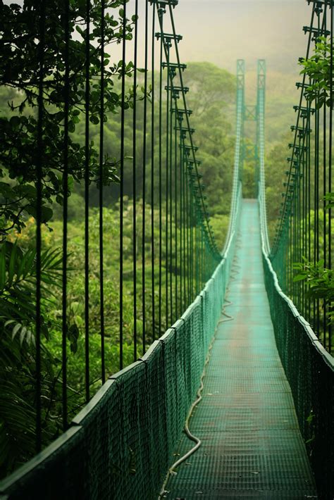 The 9 Most Incredible Canopy Walkways Around The World