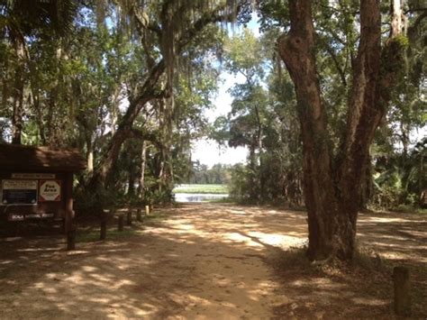 What animals live in ocala national forest? Ocala National Forest Lake Eaton Campground, Silver ...