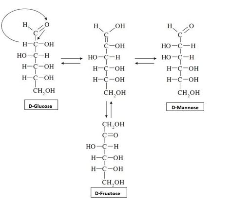 In The Given Structure Is Enol Form Ofn N N N N A D Glucoseb