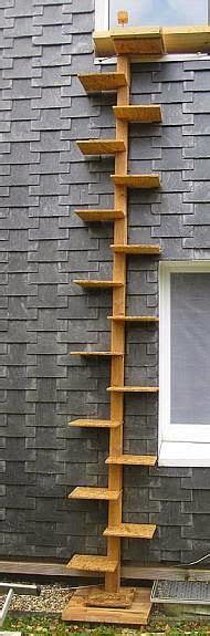 Tall (from the ground to the top of the deck), 8ft. CAT -LADDERS: Cat-ladder in Germany. Photo: Unknown. | Cat ladder, Outdoor cats, Cat stairs