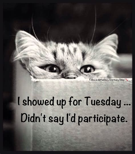 √ Tuesday Funny Meme