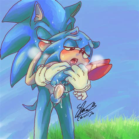Rule 34 Furry Furry Only Hedgehog Male Multiple Males Soina Sonic
