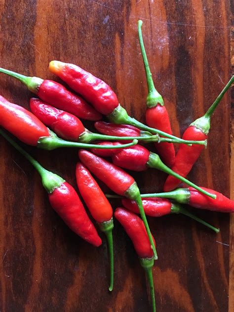 Organic Hawaiian Red Chili Pepper Seeds Heirloom Peppers Etsy