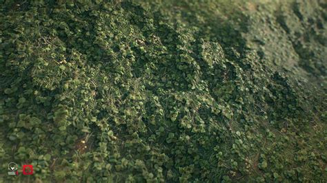 Olha Mendelis Jungle Grass Textures Set