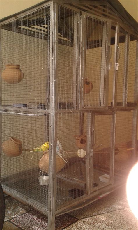 Check spelling or type a new query. Pets Pakistan - cage for sale