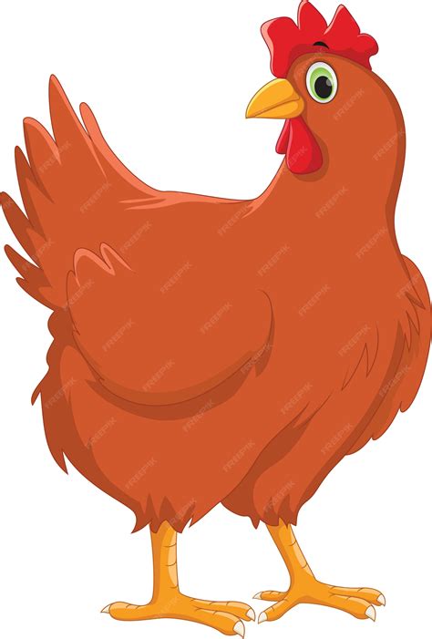 Imagem De Galinha Desenho