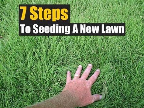 7 Steps To Seeding A New Lawngardengardeninghow Todiyhomesteading