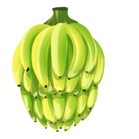 Bunch Of Bananas Icon Cartoon Vector Fruit Plant Stock Vector