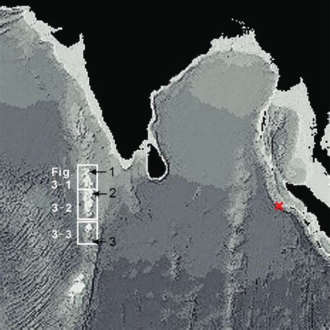Pdf The 2004 Indian Ocean Tsunami In The Maldives Scale Of The