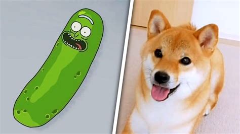 Amazing features to earn free doge. PICKLE DOGE - YouTube