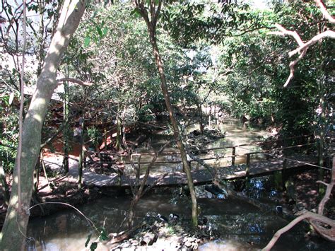 The Rainforest Habitat Inside The Walk Through Aviary Zoochat