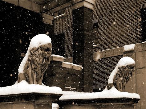 Snowy Statues Statues Snow Hd Wallpaper Peakpx