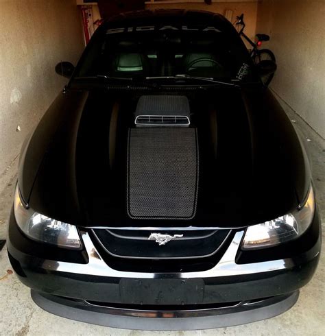 03 04 Mustang Mach 1 Carbon Fiber Stripe And Fiberglass 03 04 Hood With