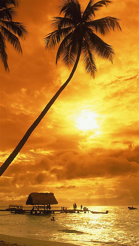 Tropical Beach Sunset Iphone Wallpaper Hd