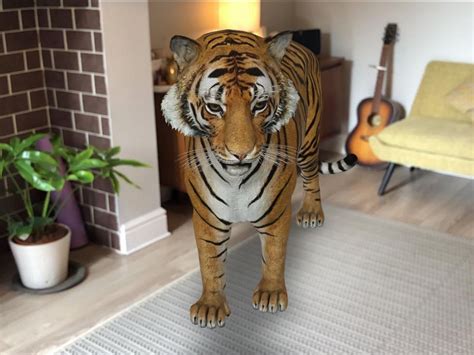Free Tiger 3d Animal Games Polreas
