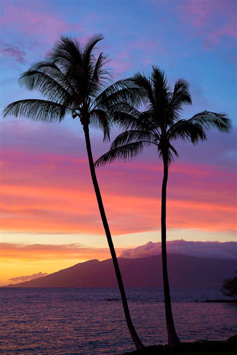 Elua Wailea Maui Hawaii
