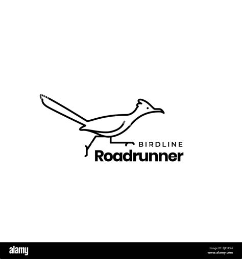 Bird Lines Roadrunner Logo Design Stock Vector Image And Art Alamy