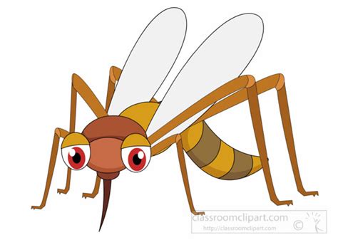 Insect Clipart Clipart Mosquito Insect Clipart Classroom Clipart
