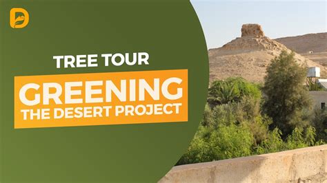 Greening The Desert Tree Tour Youtube