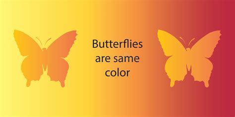 Optical Illusion Both Butterflies Are The Same Color Stock Vector