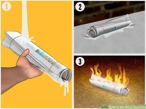 The ultimate guide in 2021 to getting rid of silverfish. How to Get Rid of Silverfish: 14 Steps (with Pictures ...