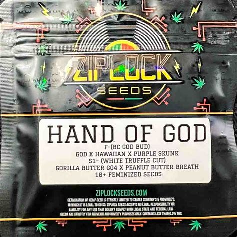 Ziplock Seeds Hand Of God 10 Feminized Seeds Gaslamp Seeds