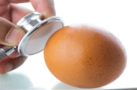 Gallstones are tiny objects that form in the gallbladder. CAN I STILL EAT THAT? - EGGS. - FreshMAGAZINE