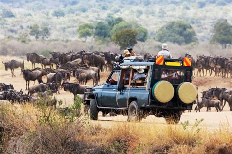 10 Days Kenya Wildlife Safari Kenya Safari Tours